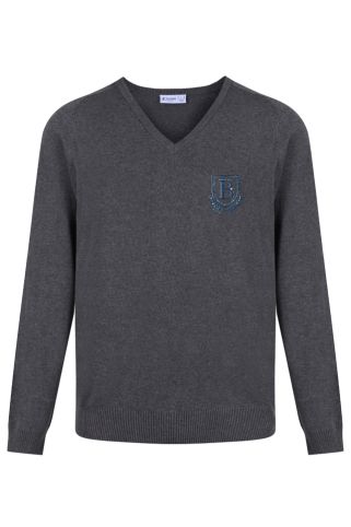 Junior cotton jumper badged with school logo